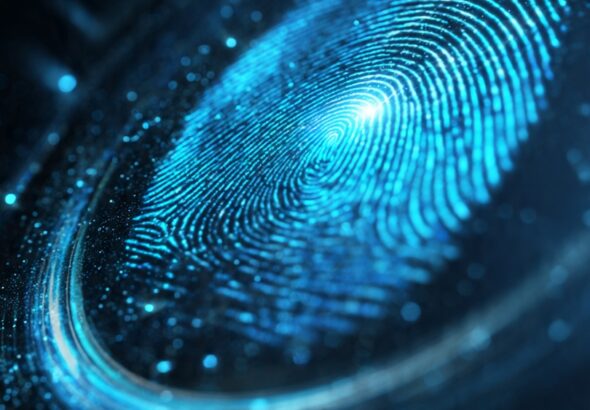 WhatsApp Image 2026-04-19 at 19.25.47