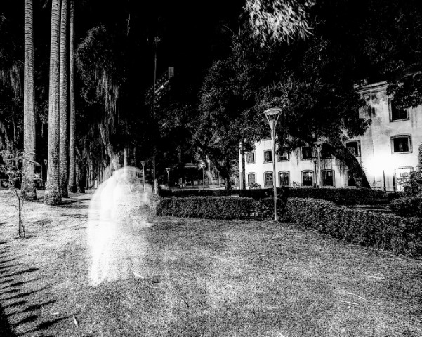 Texto e Foto Carlos Monteiro