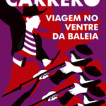 viagem-no-ventre-capa4-334x500