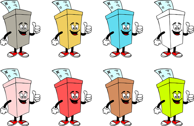 artrose-ballot-box-5555792_640