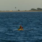 Texto e Foto Carlos Monteiro