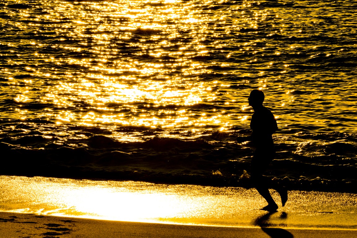 Texto e Foto Carlos Monteiro