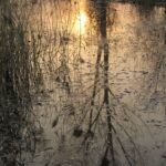 choucsl-the-fall-of-water-4721571