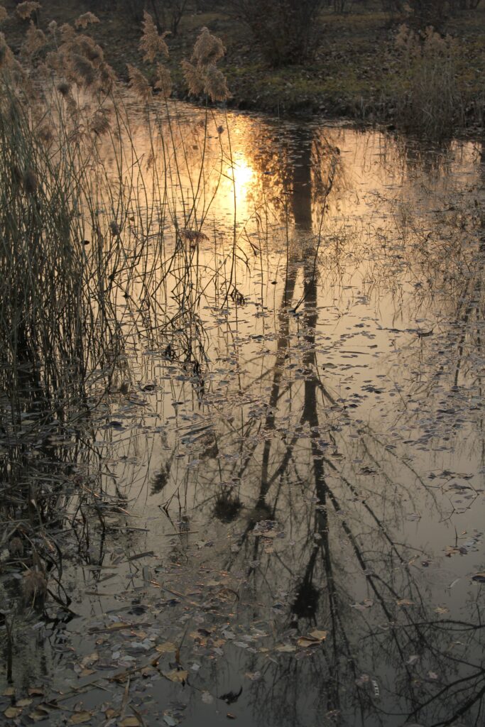 choucsl-the-fall-of-water-4721571