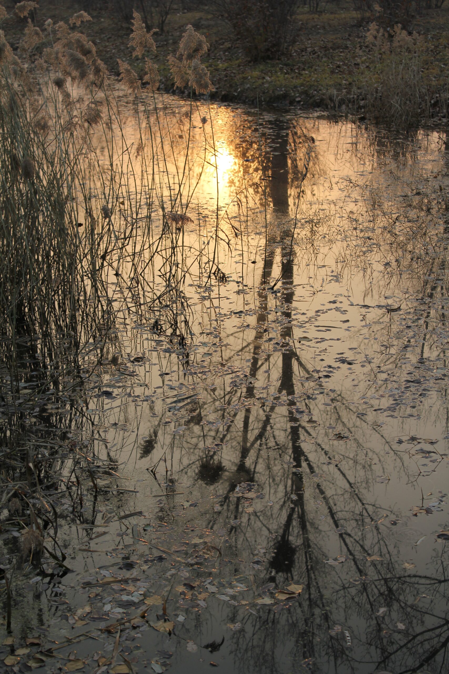 choucsl-the-fall-of-water-4721571