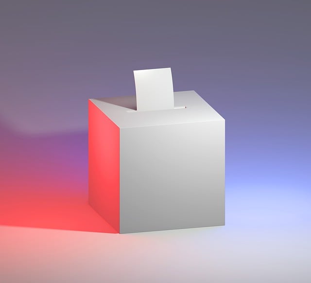 thor_deichmann-vote-5676563_640