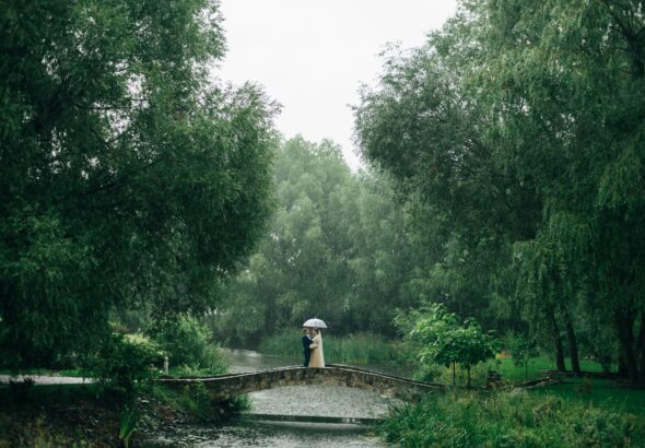 bogdanazvyagolska-park-7407081